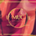 Mikey's Ultimate Clothing - Profile Picture